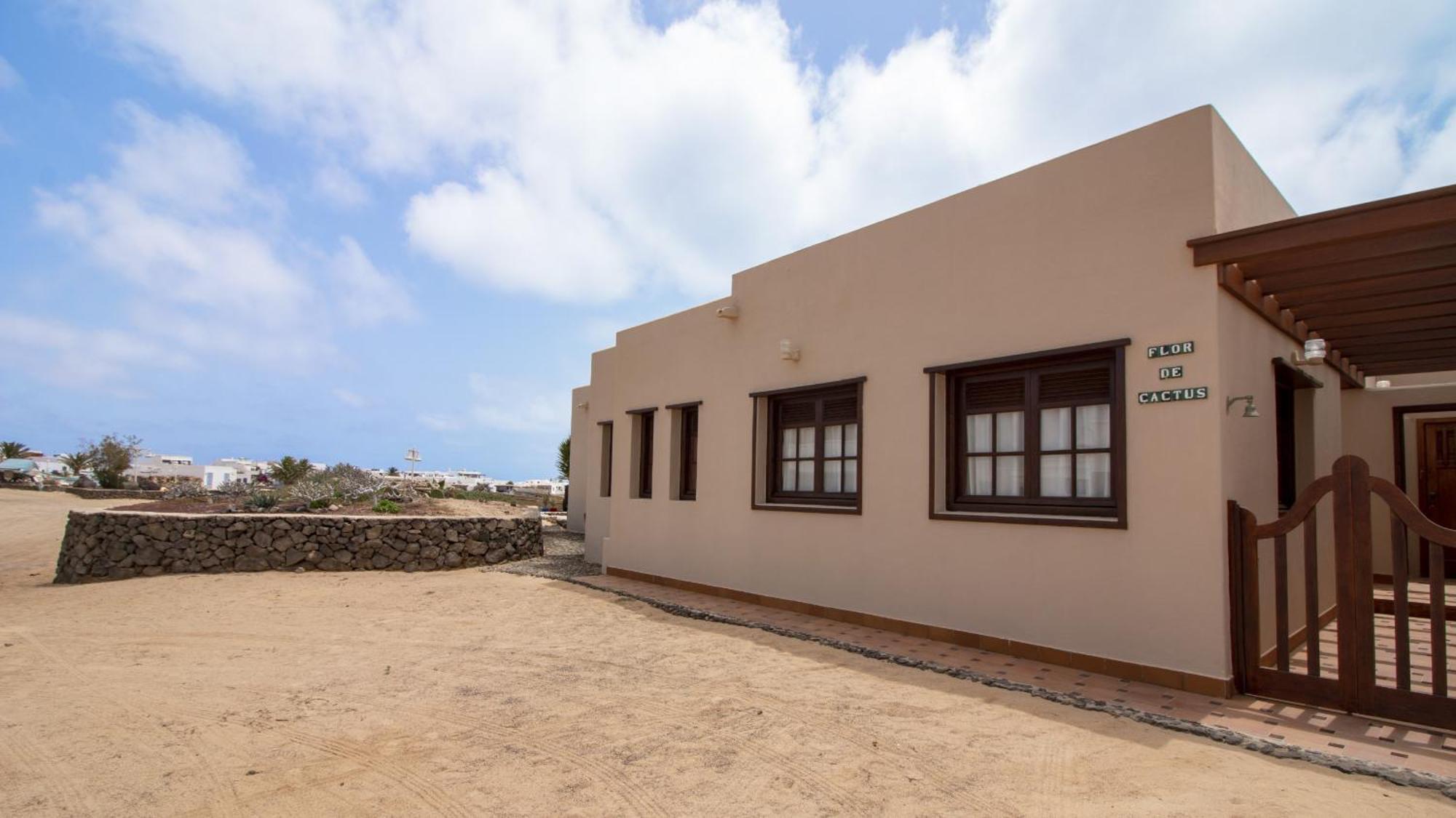 Flor De Cactus, La Graciosa *