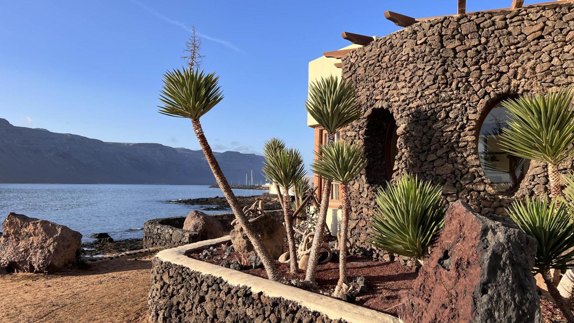 Flor De Cactus, La Graciosa