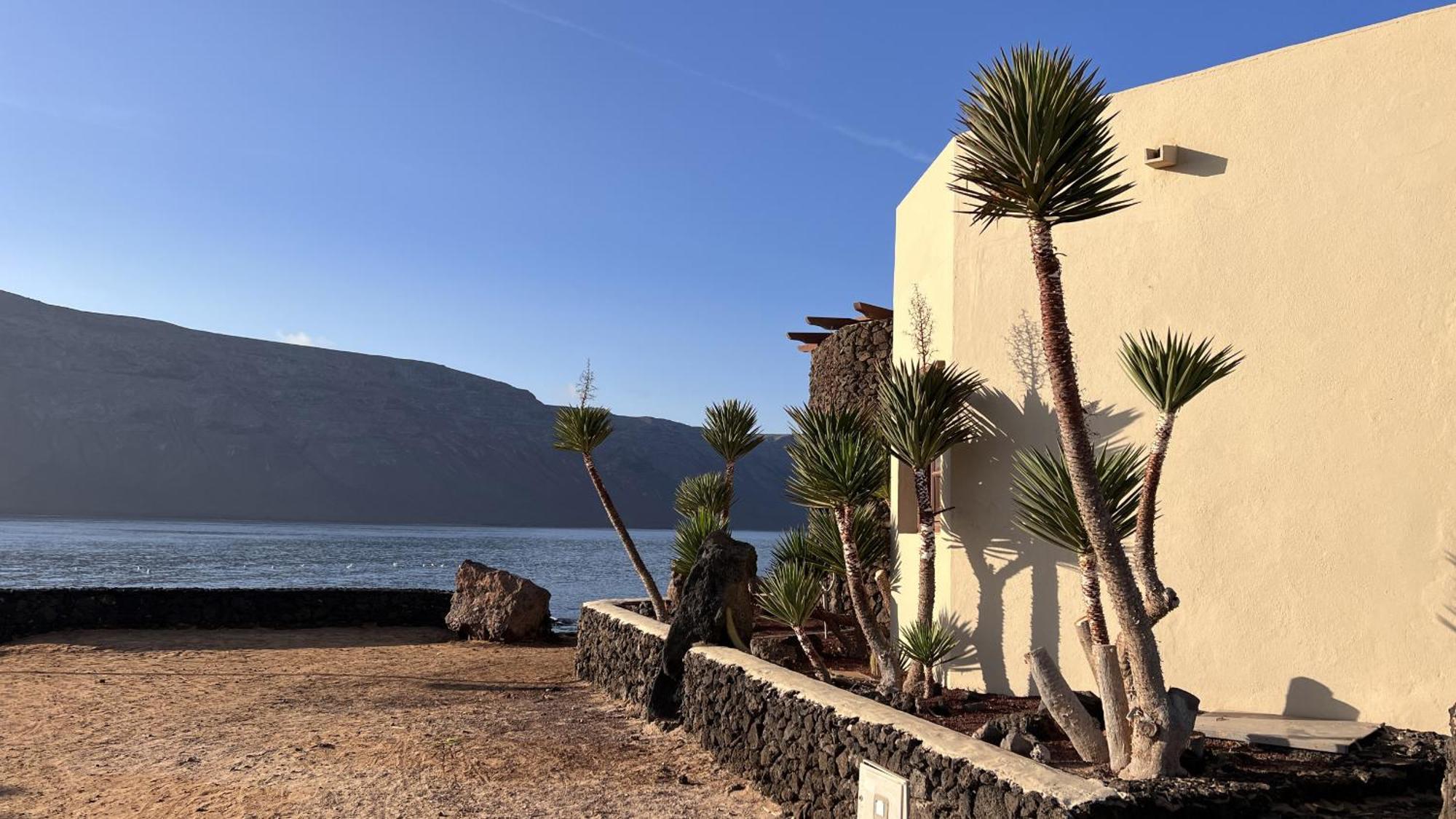 Flor De Cactus, La Graciosa * Caleta de Sebo
